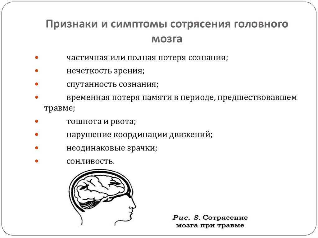 Ваша собака заболела — как распознать, что с ней что-то не так?