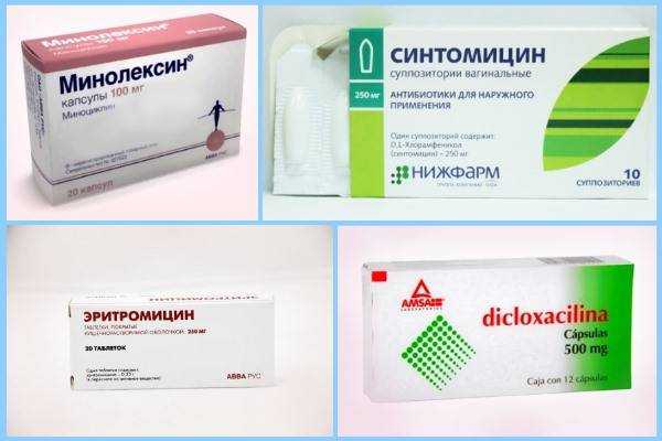 Кожные заболевания у собак: признаки и лечение