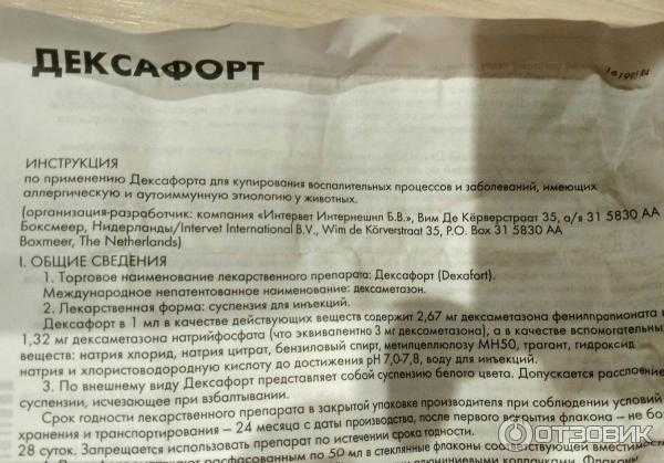 Дексафорт для собак: инструкция по применению, особенности использования, ограничения