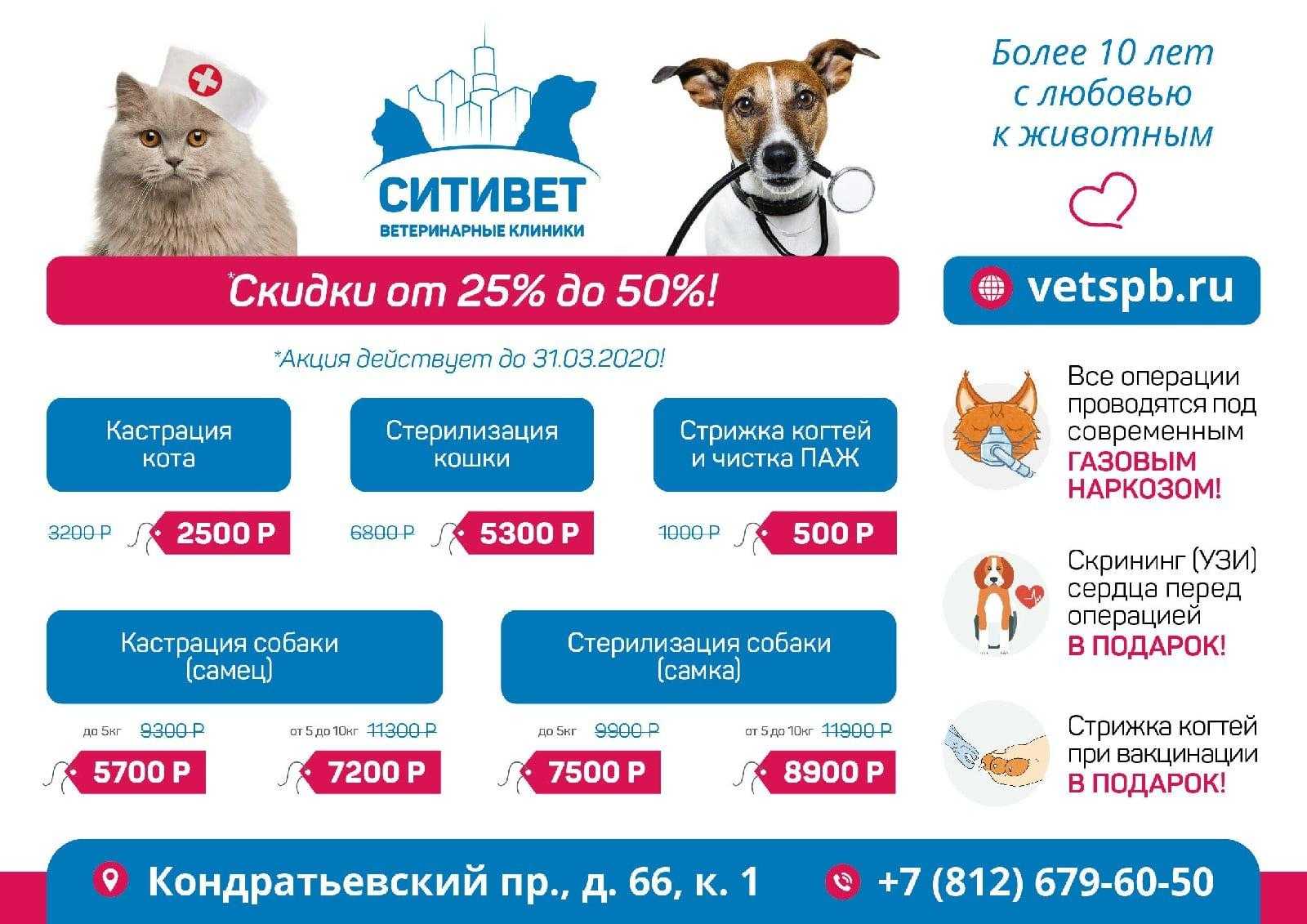 Болотная черепаха уход в домашних условиях