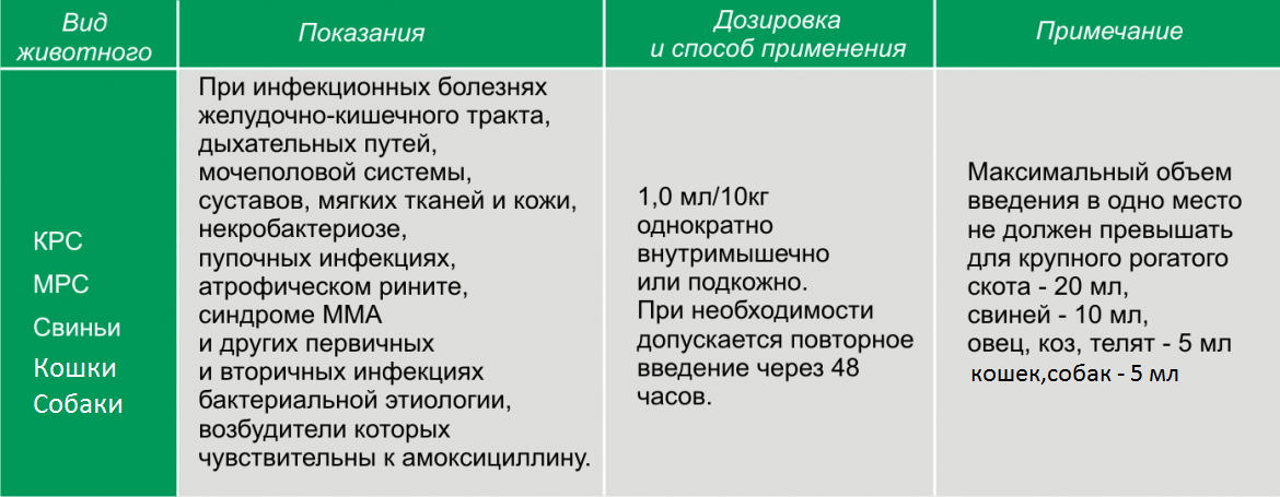 Антибактериальный препарат Амоксициллин для собак – состав и формы выпуска, инструкция и показания по применению, цена, рекомендации по применению