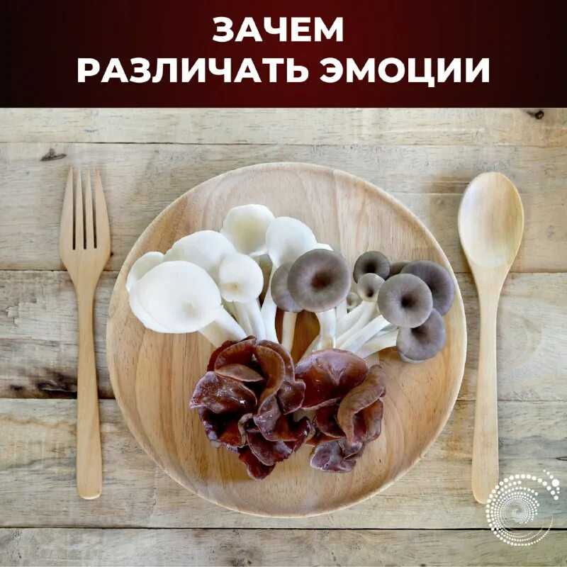 Как научить собаку командам в домашних условиях: 50+ команд
