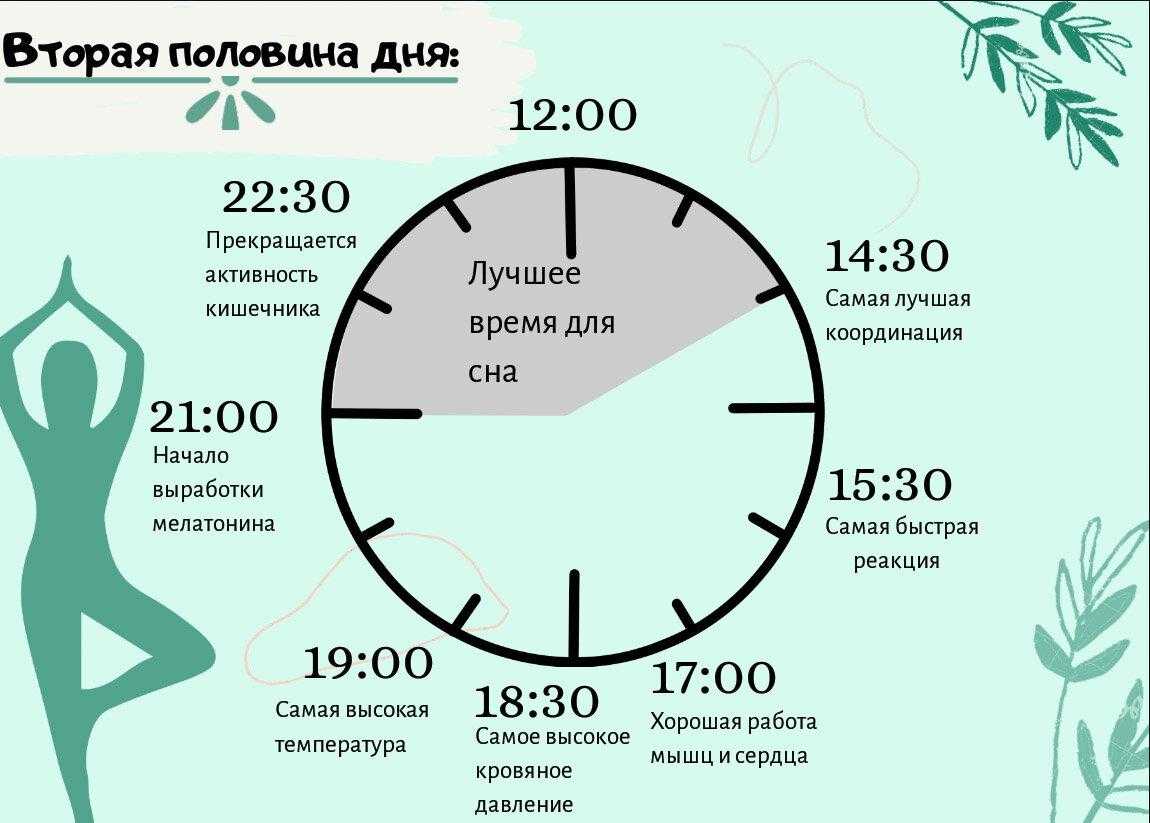 Котик — тёпленький животик: почему кошки спят на нас