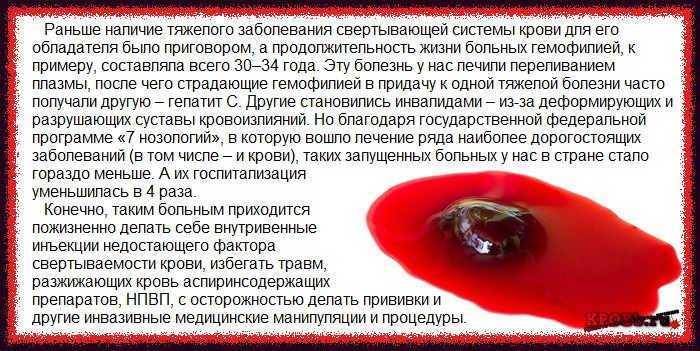 Как понять, что сука рожает, и принять роды в домашних условиях: поведение собаки перед родоразрешением и предвестники