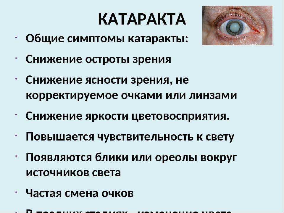 Особенности клинической картины, патогенеза и медикаментозного лечения вторичной факогенной глаукомы у собак