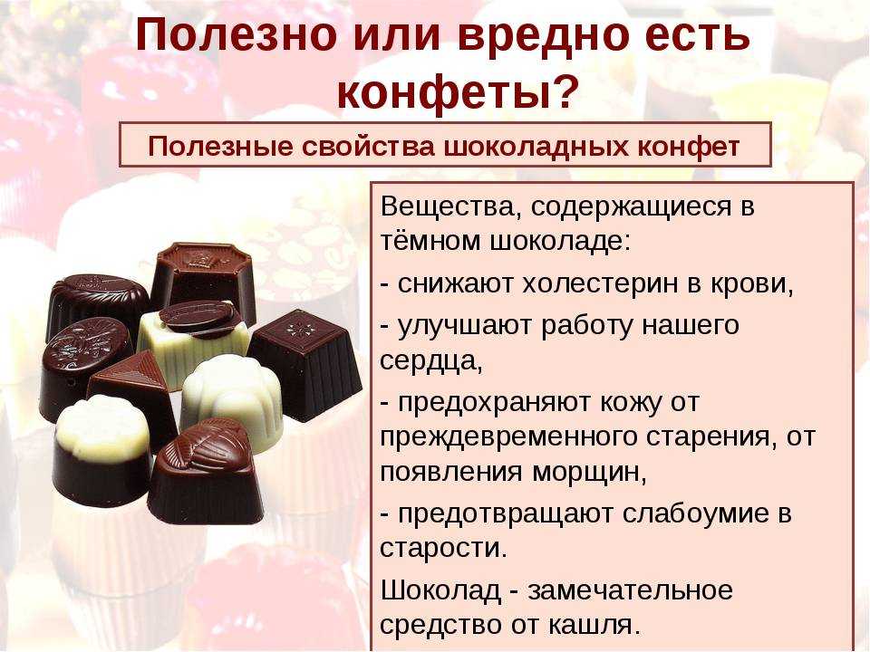 Можно ли давать сладкое кошкам