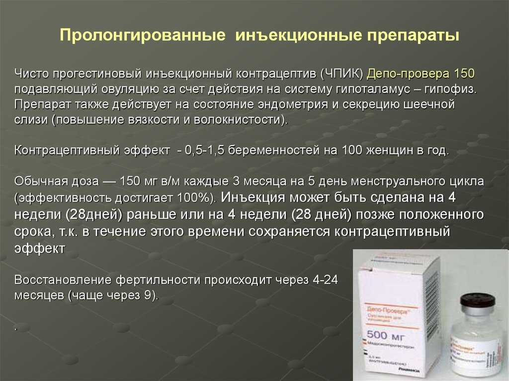 Что нам хочет сказать кот?