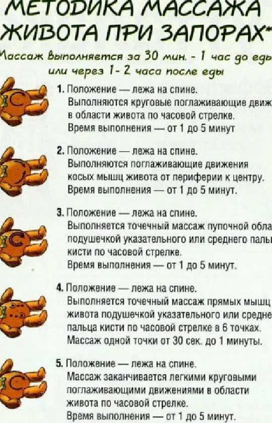 Почему коты делают лапками массаж человеку: что это может значить