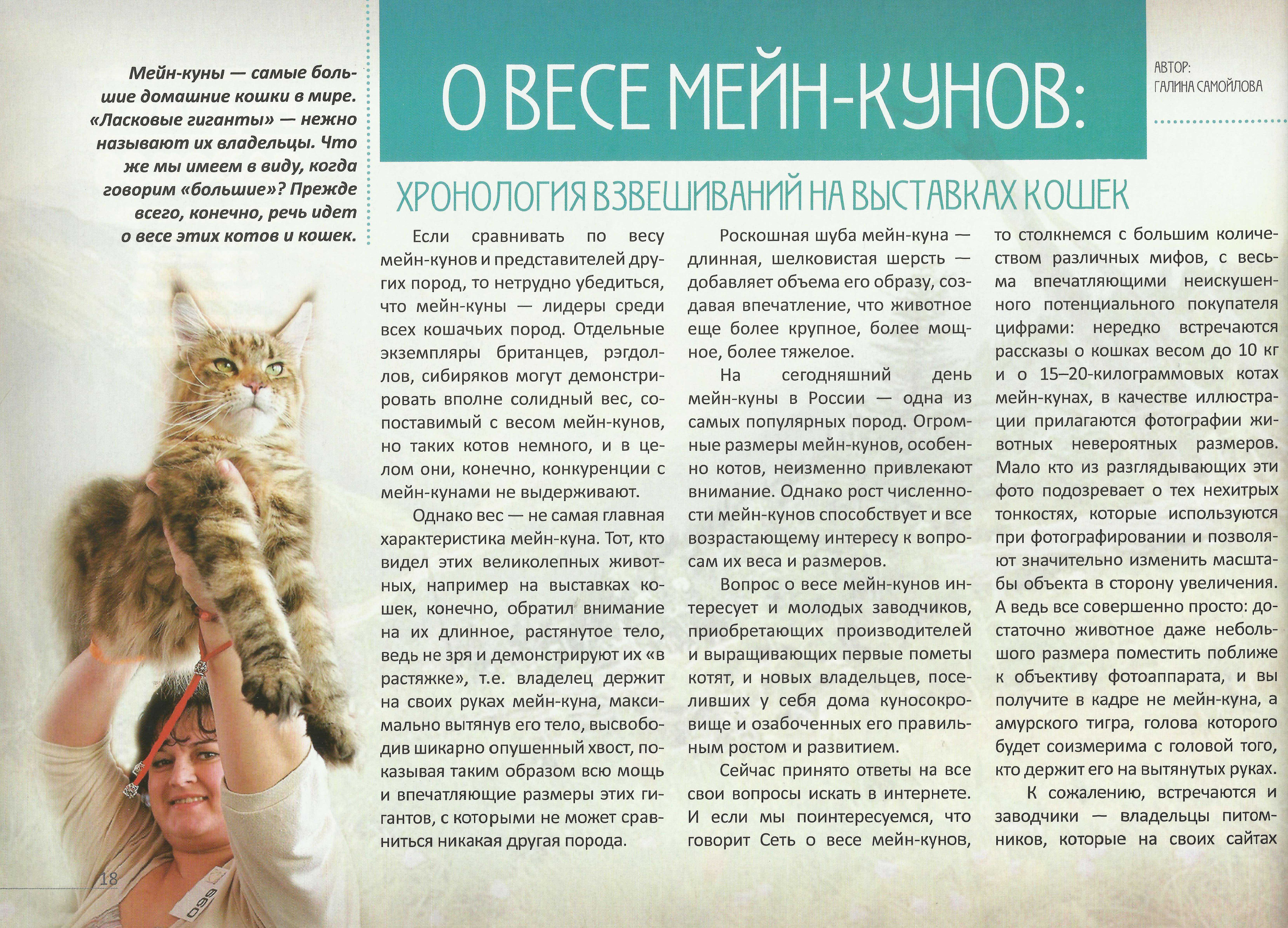 Рост и вес мейн-куна по месяцам, норма размеров для этой породы