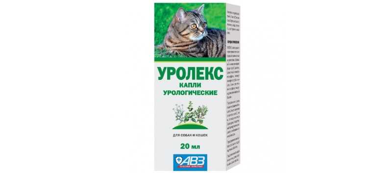 Уролекс для кошек: инструкция по применению, состав капель и отзывы ветеринаров. что делать, если препарат вызвал рвоту у котёнка?