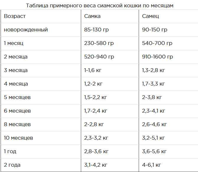 Примеры сколько должен весить котенок в зависимости от его возраста