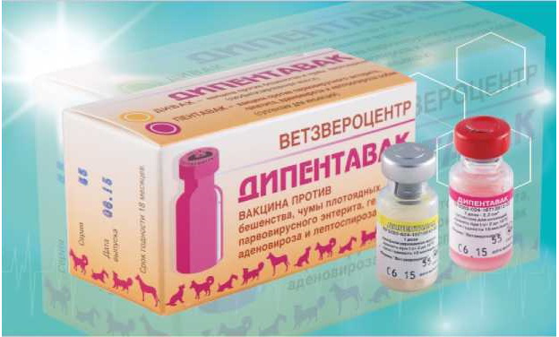 Дипентавак для собак, инструкция по применению, противопоказания и побочные действия