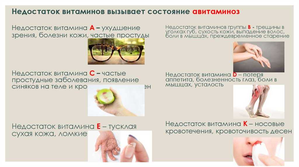 Авитаминоз у кошек: причины, симптомы и лечение