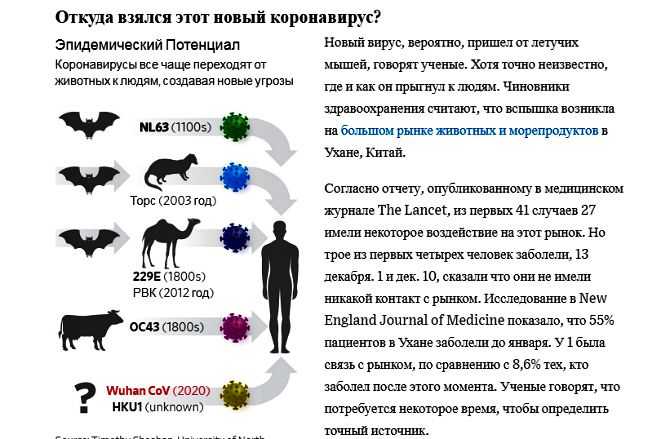 Вирусный энтерит у собак