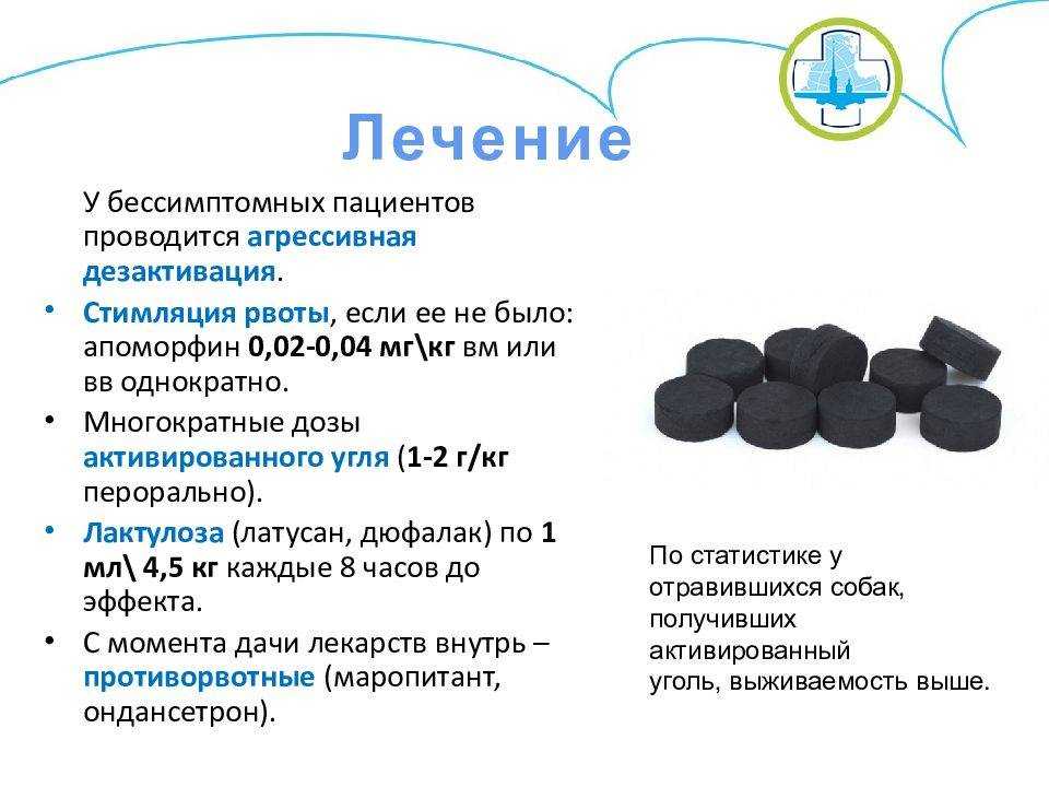 Как давать кошке активированный уголь при поносе. узнайте, что делать при отравлении кислотой, щелочью и нефтепродуктами