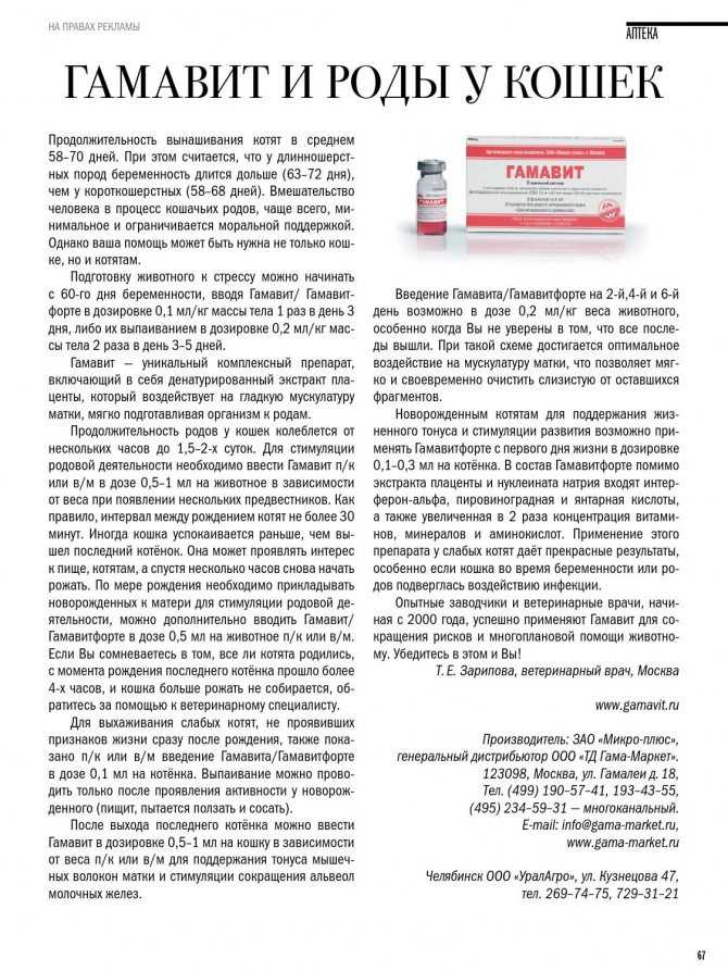 Гамавит для собак: назначение, инструкция по применению и дозировка