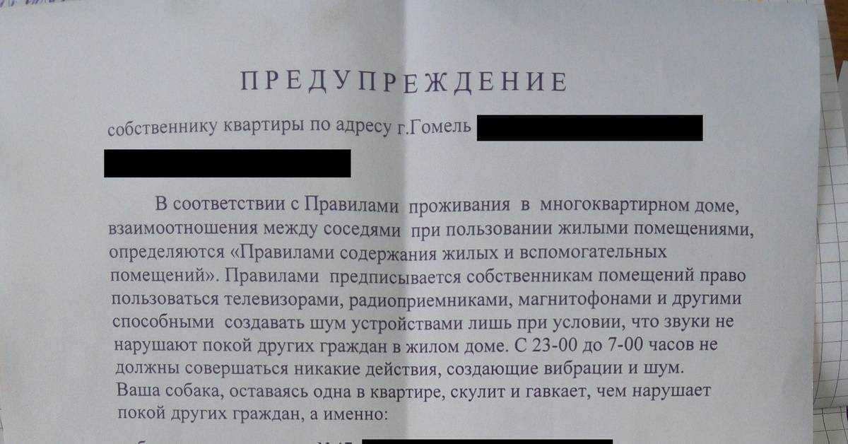 Выгул собак на придомовой территории 🐶 🔶 2023