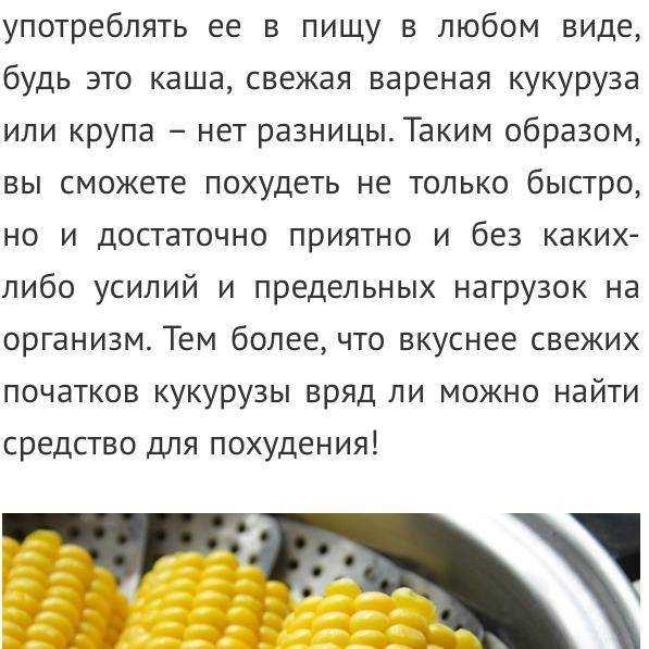 4 крупы, которые можно давать собакам и 6, которые нельзя, нормы