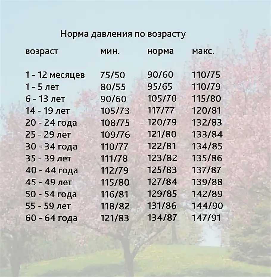 Давление у кошек