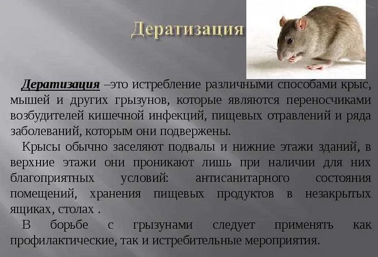 Животные красной книги россии и мира: фото, название, описание