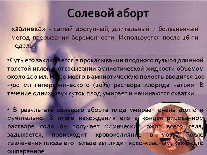 Выкидыш у кошки – почему случается и как хозяин может помочь?