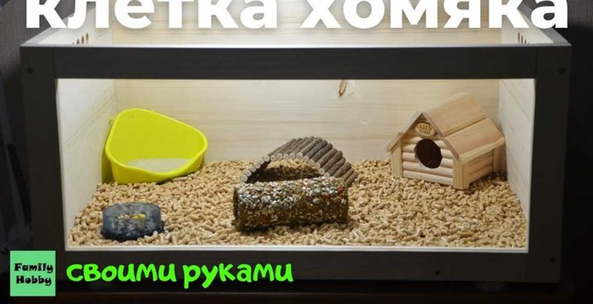 Лабиринты и туннели для хомяка своими руками