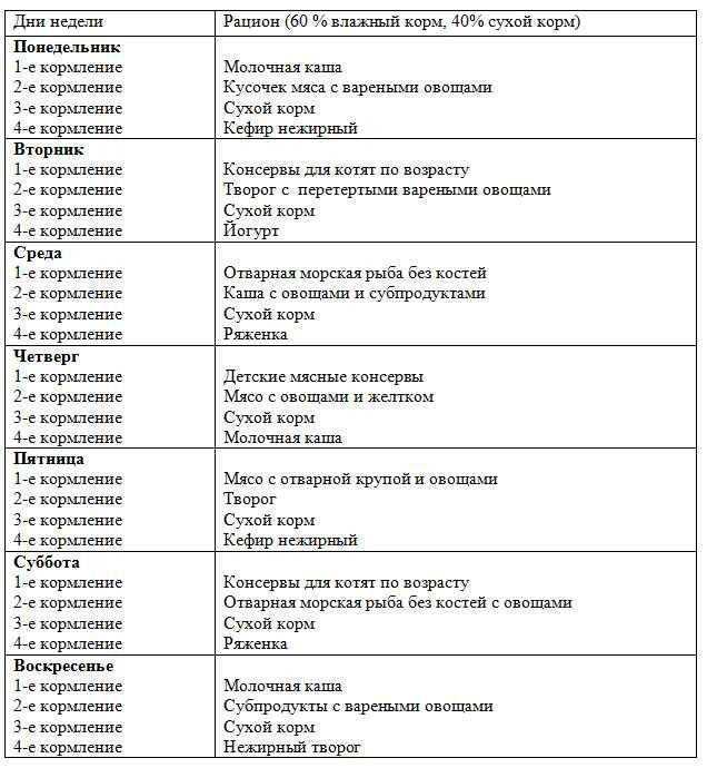 Чем кормить котенка по месяцам: полное руководство для новичков
чем кормить котенка по месяцам: полное руководство для новичков