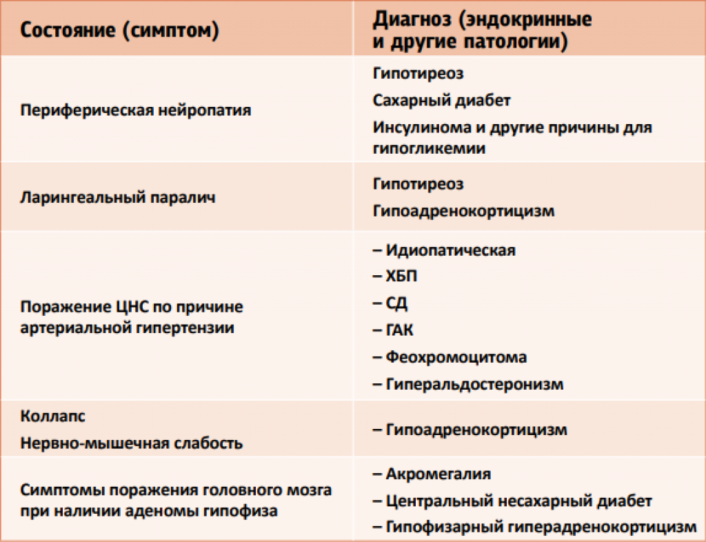 Сирингомиелия у собак: причины, симптомы, диагностика и лечение