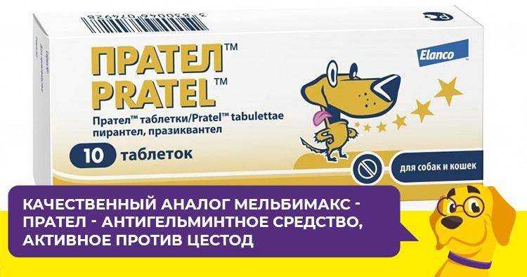 ᐉ прател для собак — инструкция по применению - ➡ motildazoo.ru