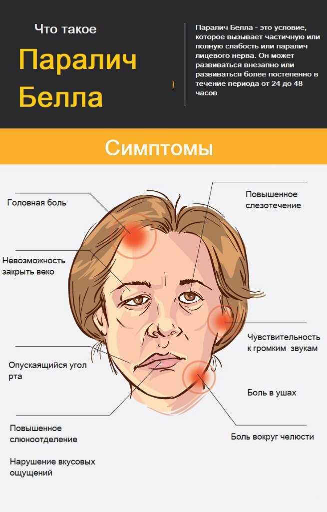 Симптомы и лечение паралича у собаки