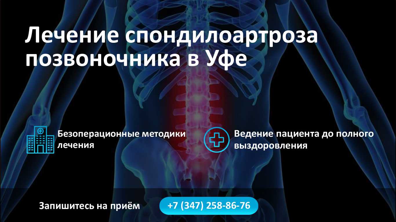 Спондилез у собак: лечение, симптомы и признаки