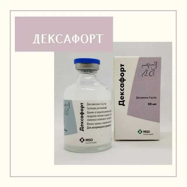 «дексафорт»: как и куда колоть кошке и собаке