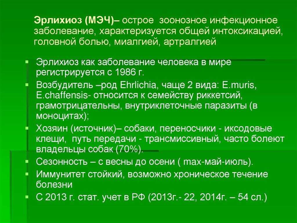 Как определить и лечить клещевой эрлихиоз у собаки
