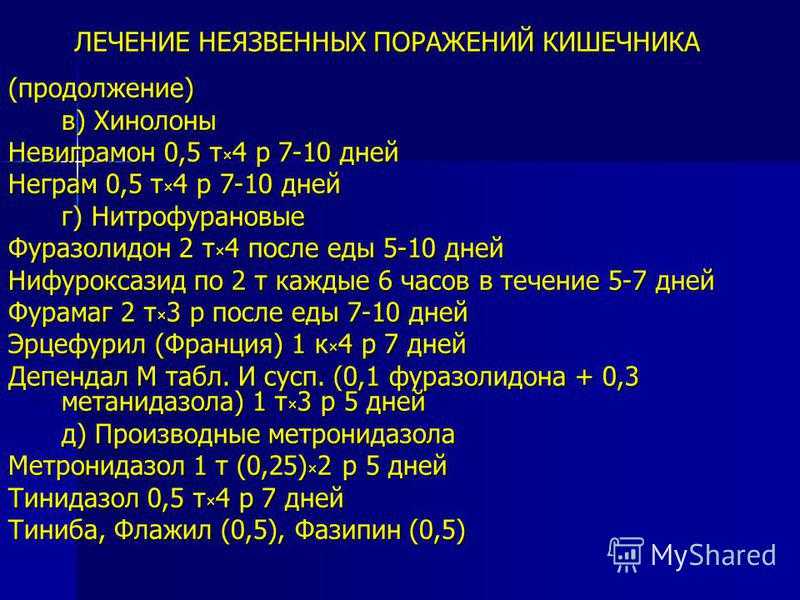 Энтероколит у собак: причины, симптомы и лечение