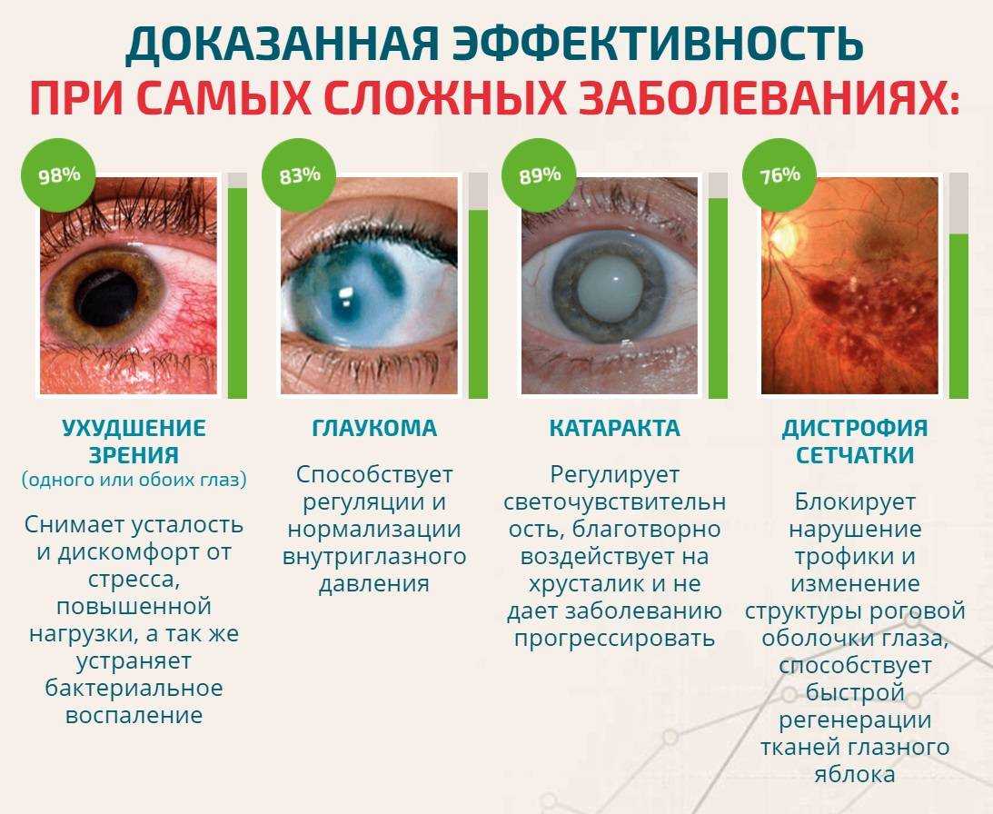 Кератит у собак – современные возможности лечения