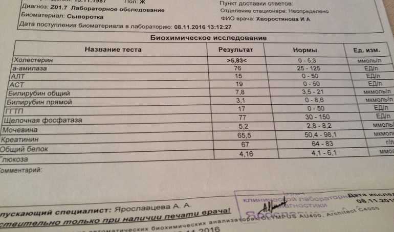 Повышенный аст у собаки лечение