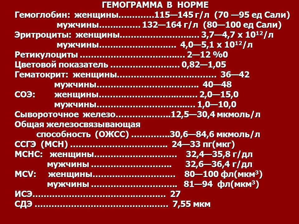 Низкий и повышенный гемоглобин у собаки: причины и помощь