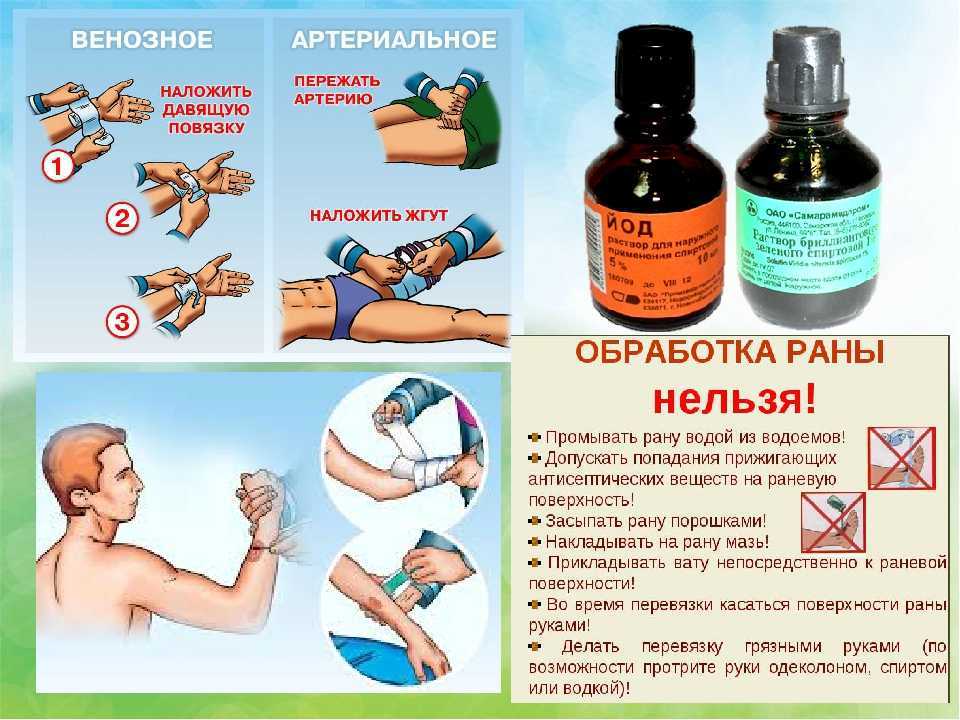 Мокнущая экзема у собак: лечение, причины появления мокрой раны, как лечить на голове, бедре, лапе и шее, чем можно подсушить дома