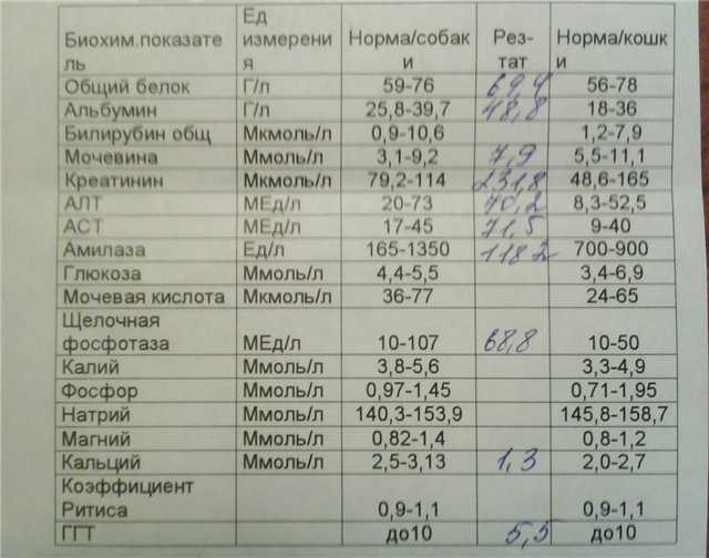 Почечная недостаточность при раке