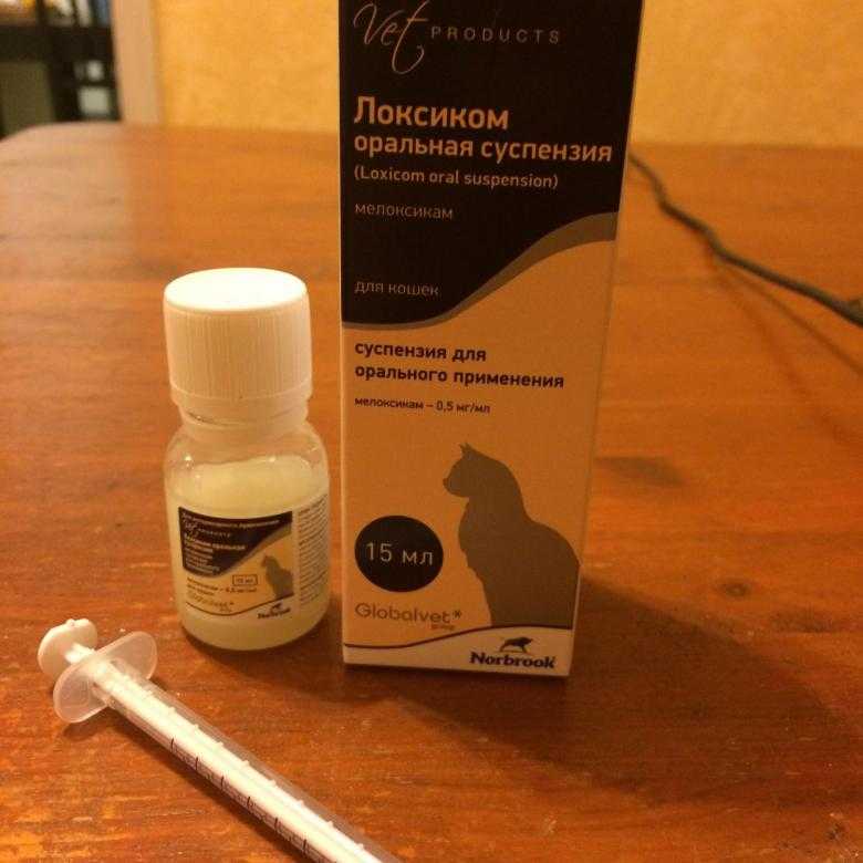 Флексопрофен (flexoprofen): как правильно применять у кошек
