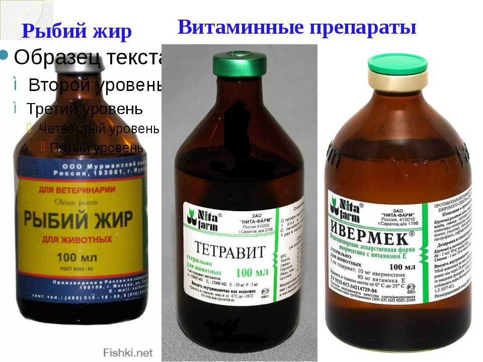 Тетравит: инструкция по применению, описание, противопоказания, побочные действия | препараты | наши лучшие друзья
