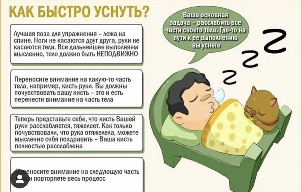 Почему кошка мяукает без причины
