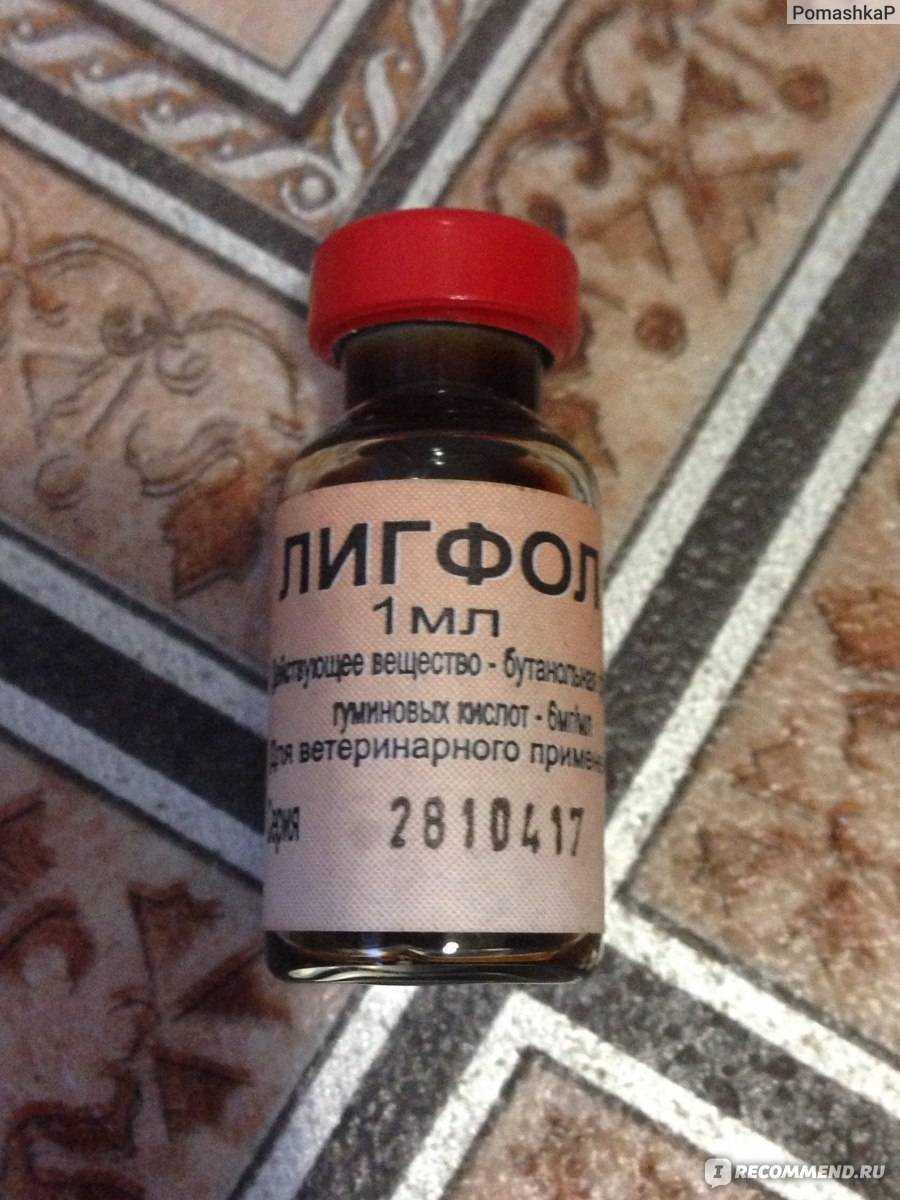 Лигфол для собак: описание препарата, состав, форма выпуска, назначение, дозировка, противопоказания, аналоги