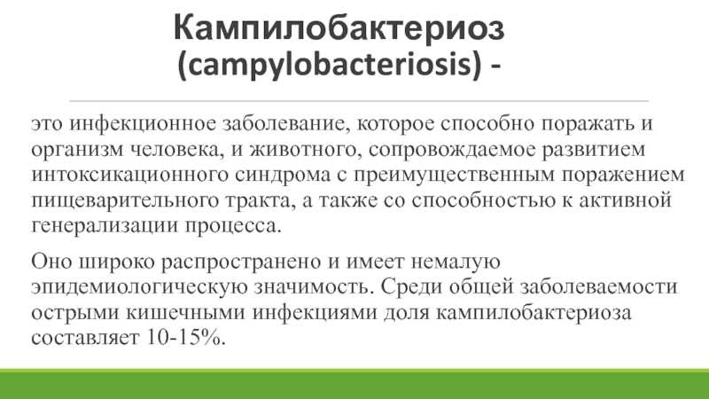 Кампилобактериоз у собак