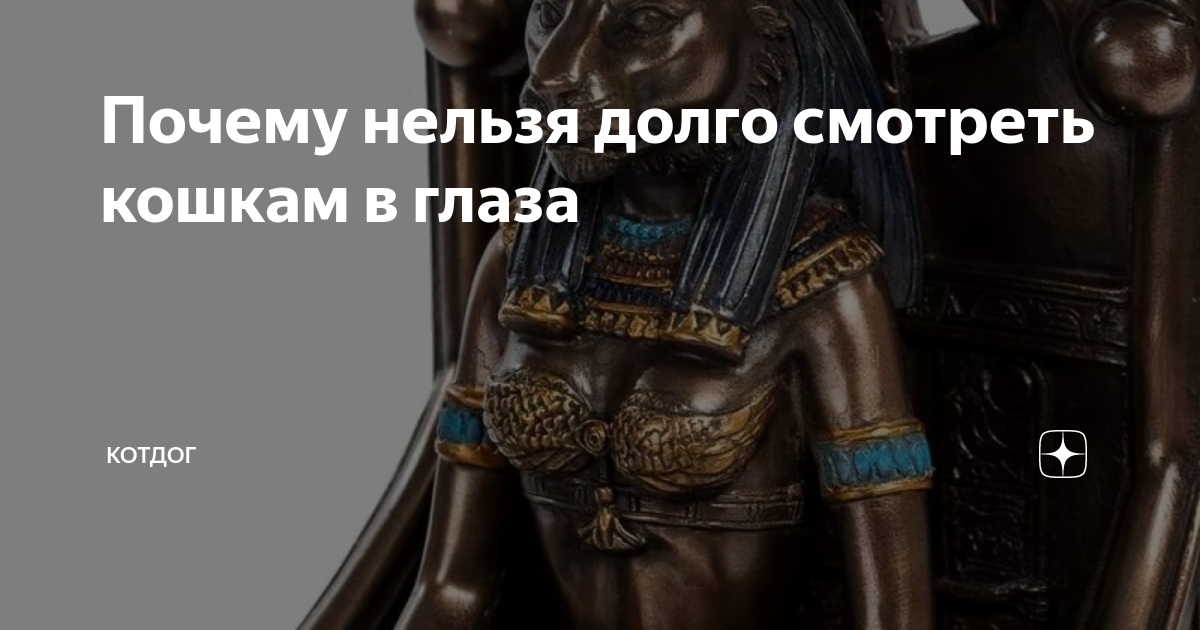 Можно ли свиное сало кошкам » собачки и кошечки