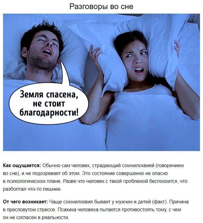 Почему кошки мяукают