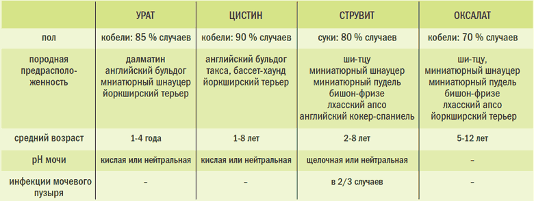Лечение мочекаменной болезни у собак возможно при правильном подходе - kupipet.ru