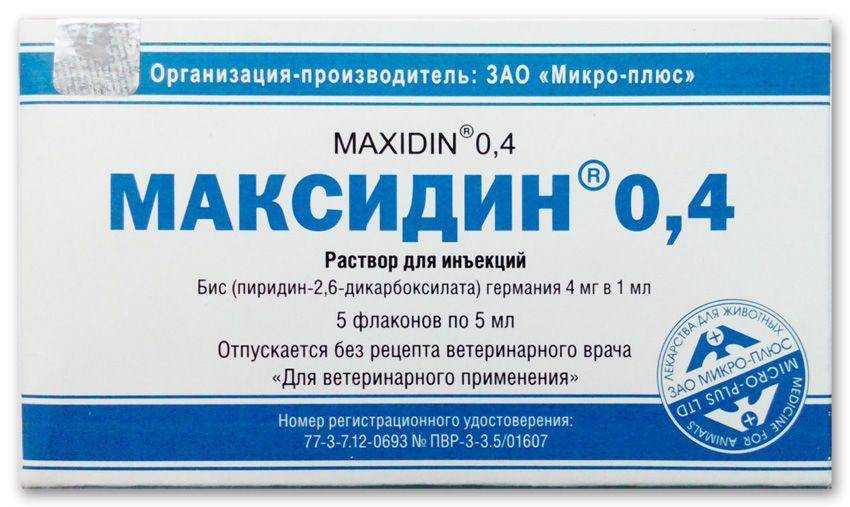 Максидин для кошек и собак: инструкция по применению