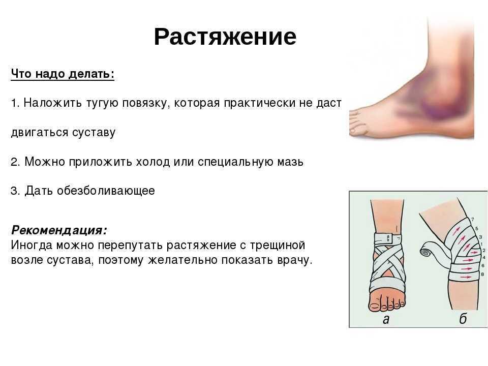 Ушиб у кошки