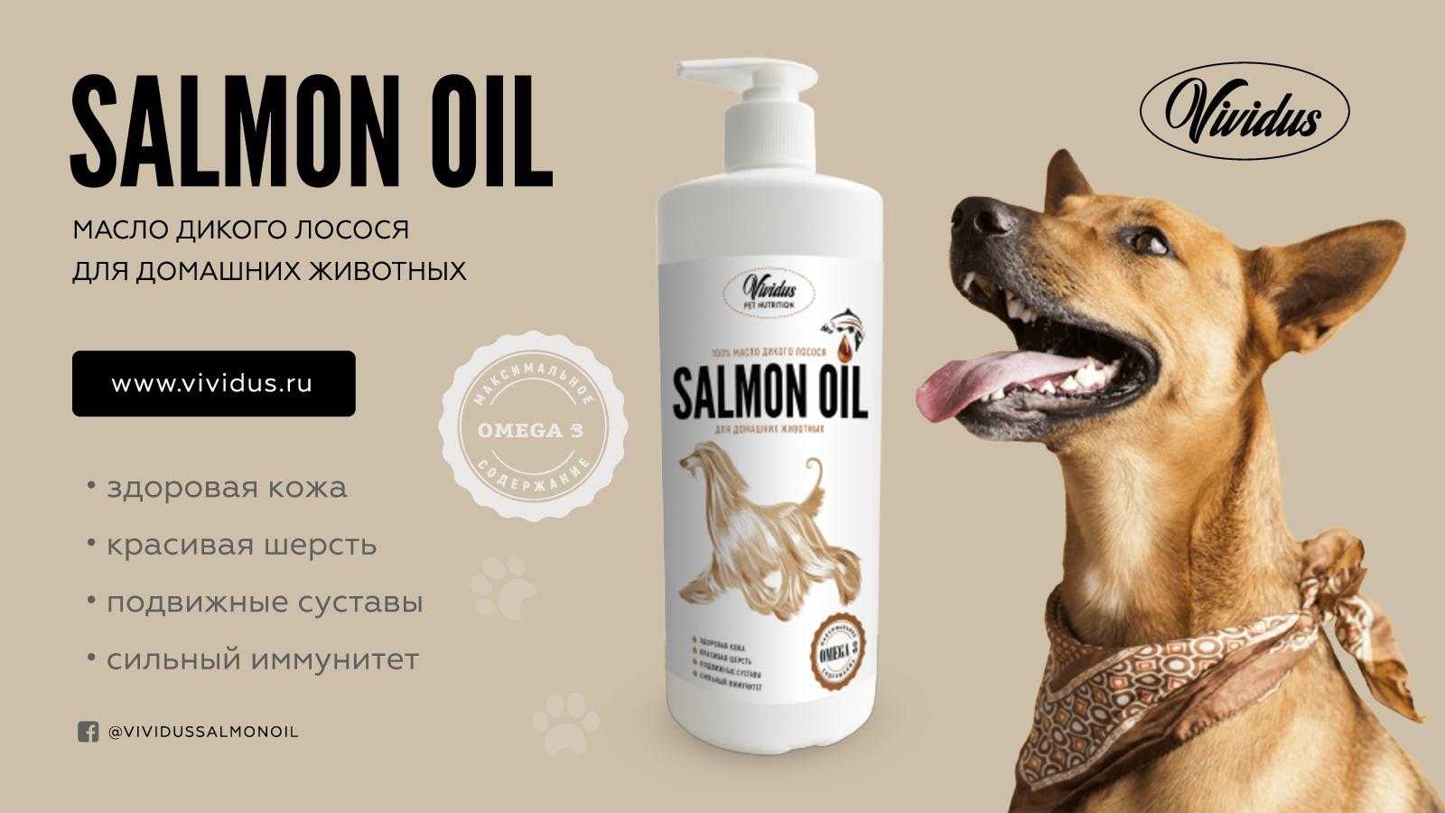 Лососевое масло для собак ? отзывы ветеринаров, как давать, дозировка | petguru | ribalkarelia.ru